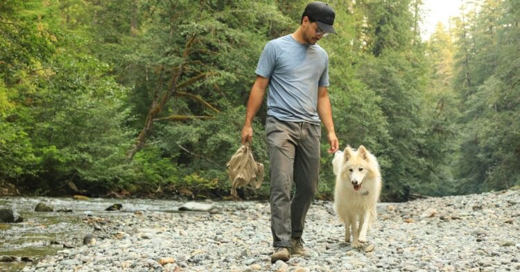 Hvor mye mosjon trenger en voksen hund